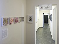 Installation view: Nessun'Isola